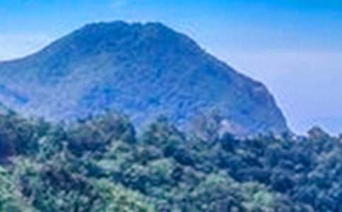 �����T(m��n)����ɽ����500����ƪ