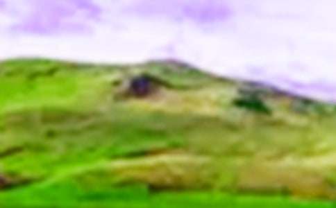 美麗的大山作文(集錦15篇)