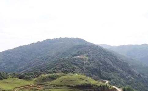 大山的憤怒高中作文(精選34篇)