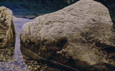 ����ֵĴ�ʯ�^���Ľ̰��O(sh��)Ӌ