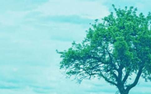 ���(sh��)�����̰���ͨ��8ƪ��