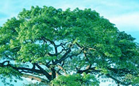 ��С���c���Č�(du��)Ԓ���Ľ̰�