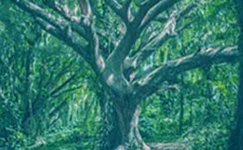 ���꼉(j��)�ƌW(xu��)�σ�(c��)�������n ���(sh��)��С�ݡ��̌W(xu��)�O(sh��)Ӌ(j��)