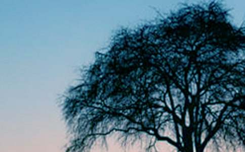 С���c���Č�Ԓ�̰�����