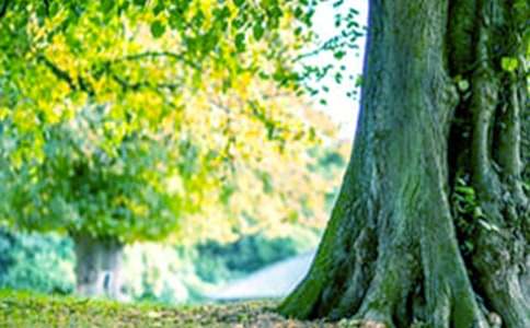 ���x�������\(y��n)����300��34ƪ