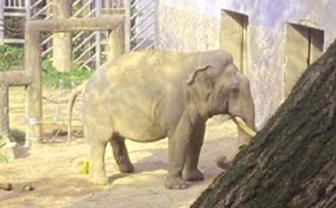 ����ͯԒ����600�ֺϼ���ƪ