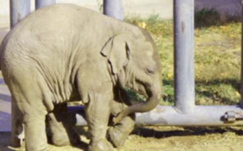 ����ʿՈ���ֽ̰�