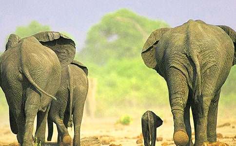  ������ʿՈ���֡��Ľ̰��O(sh��)Ӌ