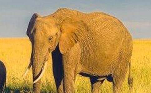 �����e(cu��)�`�Ĵ�������