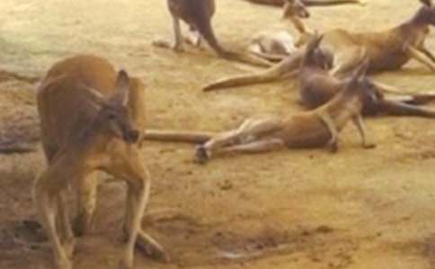 ��������400����ƪ