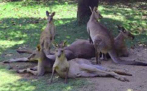 С���þ�С��������