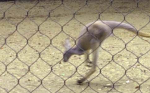 ����o�ҵĆ�ʾ����