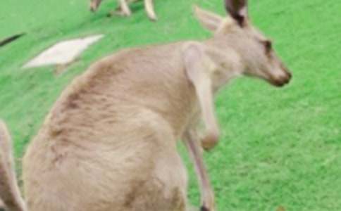 ��������600�ֺϼ�8ƪ