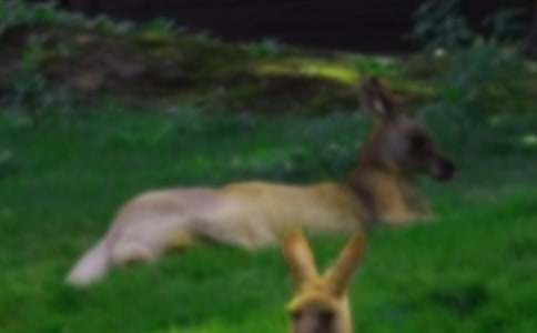 ���؂䡿��������300����ƪ