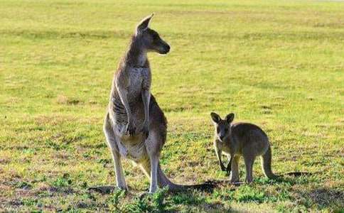 ��������600��6ƪ