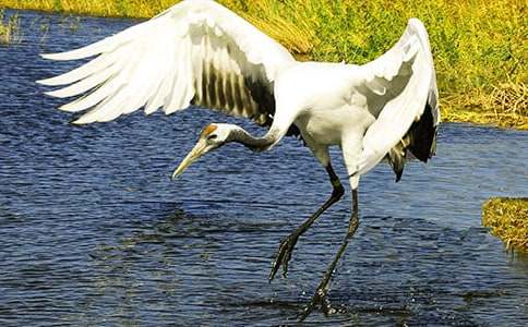 ����Q����600��6ƪ