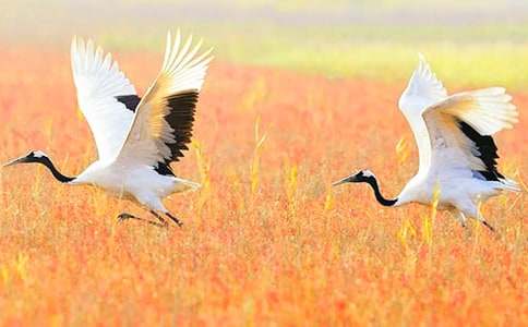 ����Q���@�����w����400��