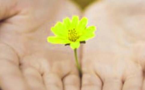 �����x����Ǹ����300��3ƪ