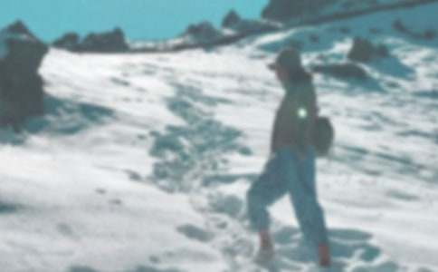 六年級(jí)登山看風(fēng)景總臺(tái)山之行作文