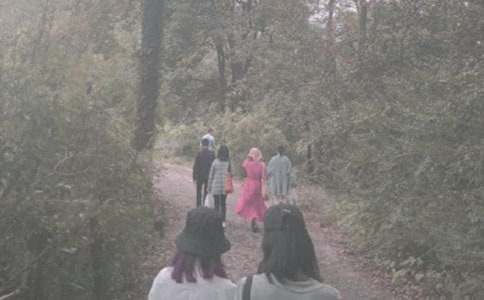 登山的作文合集15篇