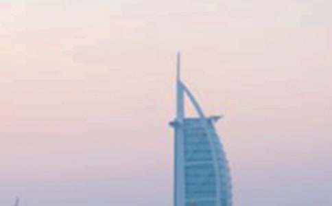 迪拜作文300字8篇