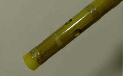 ����?sh��)ĵ������?/></p><h2>��������?sh��)ĵ������?1</h2><p>����ÿ���糿�����S����ɫ��ꖹ�������(hu��) ���L�ѵ�����ÿ��(d��ng)�˕r(sh��)���ҿ��������R(sh��)���𴲡����ǵ�������ҵ����M(j��n)���������������ҵĠ����������ǂ�(g��)�ό�(sh��)�ķN��������ƽƽ������̤̤��(sh��)��(sh��)�����^�˴������</p><p>������ʮ���������ʼ�K������һ����ؐ���Ǿ��������L������������҂�һ�Ӑ�������ÿ����æ�r(sh��)��(ji��)������?sh��)�����ɻ���߀������������.�L�ѣ��������������﹡����Ϣ�������L�������ƓP(y��ng)��ʹ��ȫ���õ�������ƣ���D�r(sh��)��ʧ�ßoӰ�oۙ�������˶�ϲ�g�͠���һ��ɻ�����ľ����ڄڄ�(d��ng)֮����  ����?sh��)ĵ����������ڄ?d��ng)�Ę�Ȥ��ԭ��������?sh��)ĵ���߀�������ڄ�(d��ng)�ľ�����`����</p><p>����һ��(g��)���L(f��ng)��������ϣ������ڴ���ݚ�D(zhu��n)�y�����L(f��ng)������֦���ڴ��τ��^���l(f��)���̶��������@������ë���Ȼ���Ҷ��ڱ��C���������f����ס�r(sh��)�r(sh��)�u���Ŀָ֑У�ͻȻ���� ���ˠ���?sh��)ĵ����?n��i)�ĵĿָ֑о�?ji��)u�u�p�������þ��M(j��n)���ˉ��l(xi��ng)��ԭ��������?sh��)ĵ�����߀�N(y��n)����ʹ�ˈ�(ji��n)��(qi��ng)������������һ��ҹ���������_ʼ���������ݚ���һҹ�Ę��С��������ֱ�������������������Tǰ���������L�������澏���ƓP(y��ng)���ƺ�������������ٻ�ζ�L(f��ng)�꣬�ַ·��ǚq�¶��^�����پ׽����գ�ԭ��������?sh��)ĵ��У�߀�����ؑ�����ϧ��</p><p>��������?sh��)ĵ��̕?hu��)���w�(y��n)�ڄ�(d��ng)�Ę�Ȥ���̕�(hu��)�҈�(ji��n)��(qi��ng)���̕�(hu��)����ϧ��ǰ�ĕr(sh��)���������D(zhu��n)���ƓP(y��ng)�ĵ�����Խ�r(sh��)�g�Ϳ��g�����������S�ҵ�һ����</p><h2>��������?sh��)ĵ������?2</h2><p>����ӛ�����ǃ���ǰ�ĕr(sh��)������ĩ��ԇ�������R���Ҿo���؏�(f��)��(x��)�����n��</p><p>������(d��ng)�r(sh��)����������ס��һ������������ע����(hu��)�ª�(d��)����į����������Ҳ�򲡶�ȥ����� �����(d��)��һ�ˡ��Ĵ���������(j��ng)�����ڴ�ǰ�ēu�������۾������h(yu��n)�����տյ����e���ĕr(sh��)����ҲҲ��(hu��)�ó�����ֻ��f�ĵ��Ӵ������������ǵ�Ҳ�������p�۾����տյ���</p><p>����һ�����������һ����(sh��)�W(xu��)�}�����ρ�������˼�����ǿտյĵ����ڶ�߅�������һȺΛρ���M�ҵ�����ʹ�Ҹ����ğ����ʹ�һ�������������o��(hu��)���ò��������ǿտյĵ��Ȼ��ֹ�������룺߀�Ў������ĩ��ԇ�����������ȿ���ԇ��һ��׌������(g��)������Ҳ���ڸ�ǰ �������ӡ�</p><p>����֮��Ď������ҵĶ�߅��Ҳ�]������ǿտյĵ�����?y��n)���͵͵�ذѠ����(sh��)ĵ��Ӳ����˹�������������ô��Ҳ�Ҳ�����ż�������톖�ҵ��ӵ�ȥ������ֻ�Ǽ��b�P(gu��n)�Ķ��u�u�^�f��֪�������@�ӳ��m(x��)��һ�Εr(sh��)�g������]�����ǿտյĵ��������ﰵ�����d���������f�����h(yu��n)�����۾��տյġ�����ĩ��ԇ�������ְֽo�Ҵ���Ԓ�f�������K���l(f��)��������һ�����������ȵ����翼��ԇ���һ����Ҽ�æ�ܻؼң�������ֻ���Ҳ��˴�Ű낀(g��)���µĵ���ֱ���t(y��)Ժ����(d��ng)���s���t(y��)Ժ�r(sh��)���ѽ�(j��ng)�������������K���l(f��)�������������������h(yu��n)�����ˡ����ְ������ҵļ�����f�����������^ȥ�Ķ��^ȥ������Ҳ�e̫�����ˡ����ҿ�Ҋ�ְֵ��۾��t�t�ģ��۾��ﺬ�M�˜Iˮ���þÛ]��������</p><p>�����ص�������Ҳ׃�ú͠���һ�ӣ������ڴ�ǰ���Ǐ�����������ζ��.�u���������h(yu��n)�����۾��տյ����r(sh��)���ó���ֻ�|��(d��ng)���ҵ����`�ĵ��ӣ������נ�����ǰ���^��������Ҳ�ǿտյ����ۜI����������������</p><p>�����ҹ��ڠ���?sh��)ĉ�ǰ��������֧��֧�������Iˮչʾ���ҵ��½��ܽ��ڸɿݵ������������M(j��n)����?sh��)�����������������M��Ĵ��ɣ�����ϲ�g���������ҕ�(hu��)�o�o����������ǰ ������������������ ��Ҋ����������</p><p>������ʼ�K�����������|��(d��ng)���ҵ����`�ĵ��������г�M�˃�(n��i)����</p><p>������?sh��)ĵ������ġ����P(gu��n)���£�</p><p><a target=