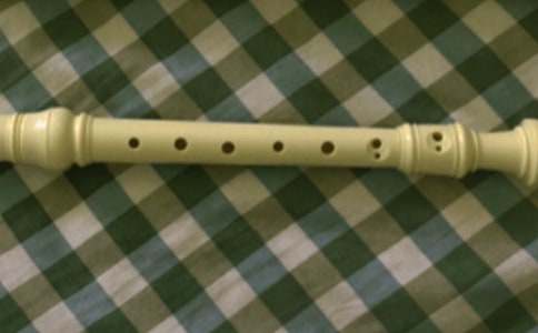 笛子小學(xué)作文