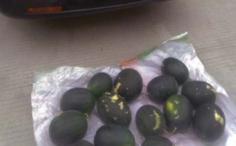 第一次擺地攤作文(精選46篇)