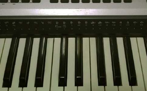 電子琴班教學(xué)計(jì)劃