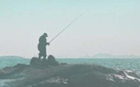 釣魚的啟示教學(xué)設(shè)計(jì)