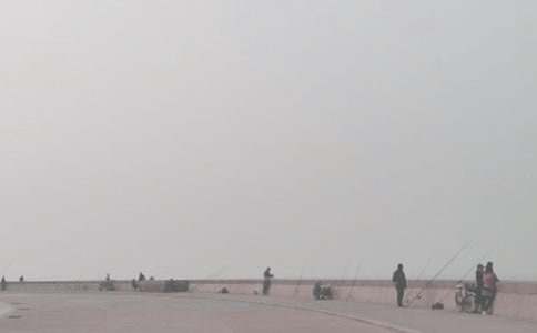 ����~(y��)�Ć�ʾ����(y��u)��̰��̌W(xu��)�O(sh��)Ӌ(j��)