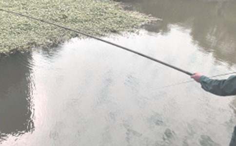 ��~�Ć�ʾ�̌W(xu��)�O(sh��)Ӌ(j��)ģ��