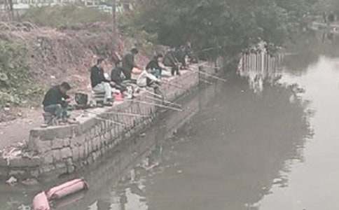 С��С؈��~�̰������x15ƪ��