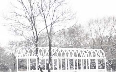 預(yù)防冬季傳染病主題班會教案