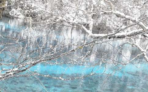 ����������ů�̰�ģ�壨���x7ƪ��