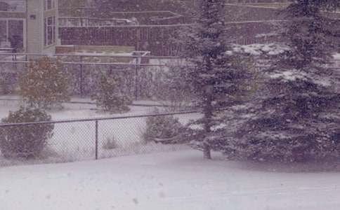 �����x�����յ�ꖹ�������ƪ