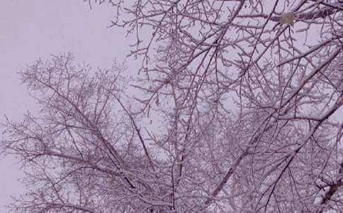 �P(gu��n)�ڶ��յ�ꖹ����İ�ƪ