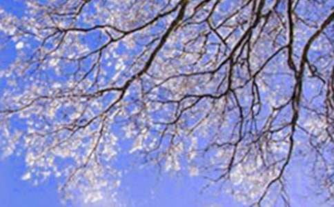 描寫冬天的一年級作文350字