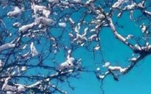 �P(gu��n)�ڶ����ѩ�̵�����