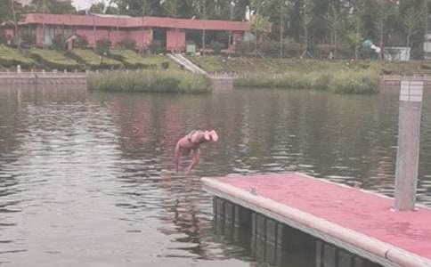 ��ӾС�W����