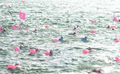 ��Ӿ��������