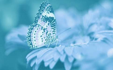 觀察動植物日記范文匯編9篇