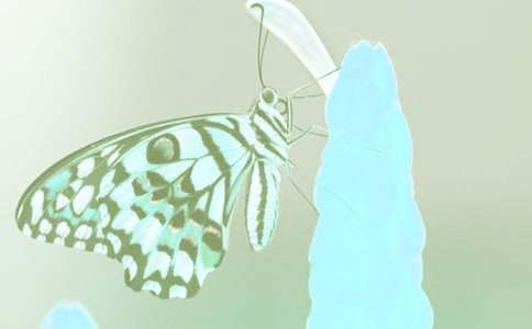 �^���(d��ng)ֲ����ӛ���ąR����ƪ