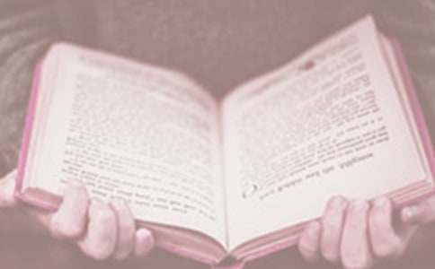 讀書(shū)的滋味世界讀書(shū)日的作文_小學(xué)生作文