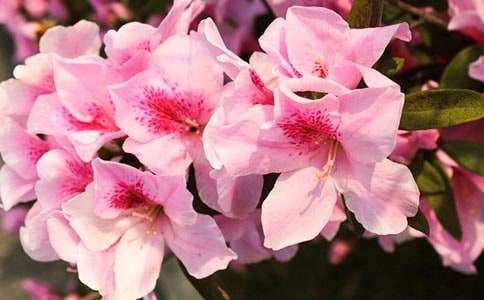 ���N��������400�֣�ͨ��39ƪ��