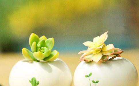 �ҵĶ����������ģ����x24ƪ��