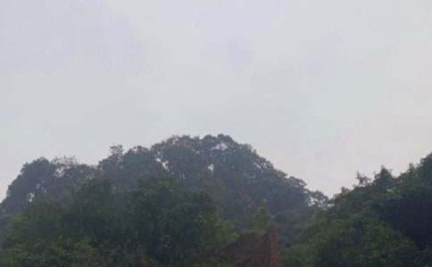 ��üɽ��ӛ����(10ƪ)