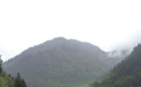 ��üɽ�Č�(xi��)������