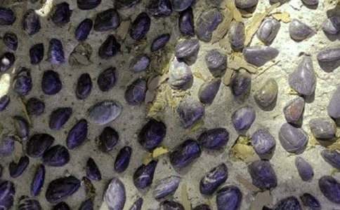 �Z��ʯ��������������