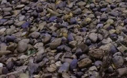 ������ӡ��Һ��Z��ʯ�����ѡ��̰�